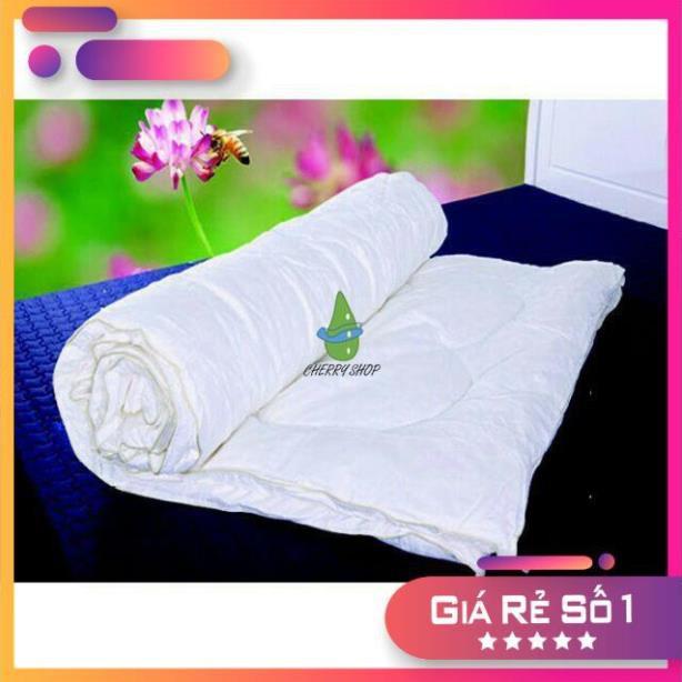 Ruột chăn ruột mền kate đủ size cho gia đình và khách sạn