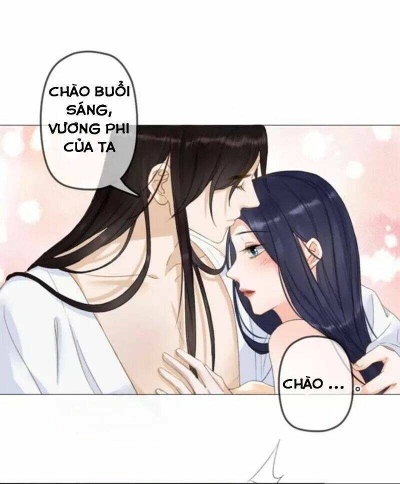sủng phi của vương chapter 142 8