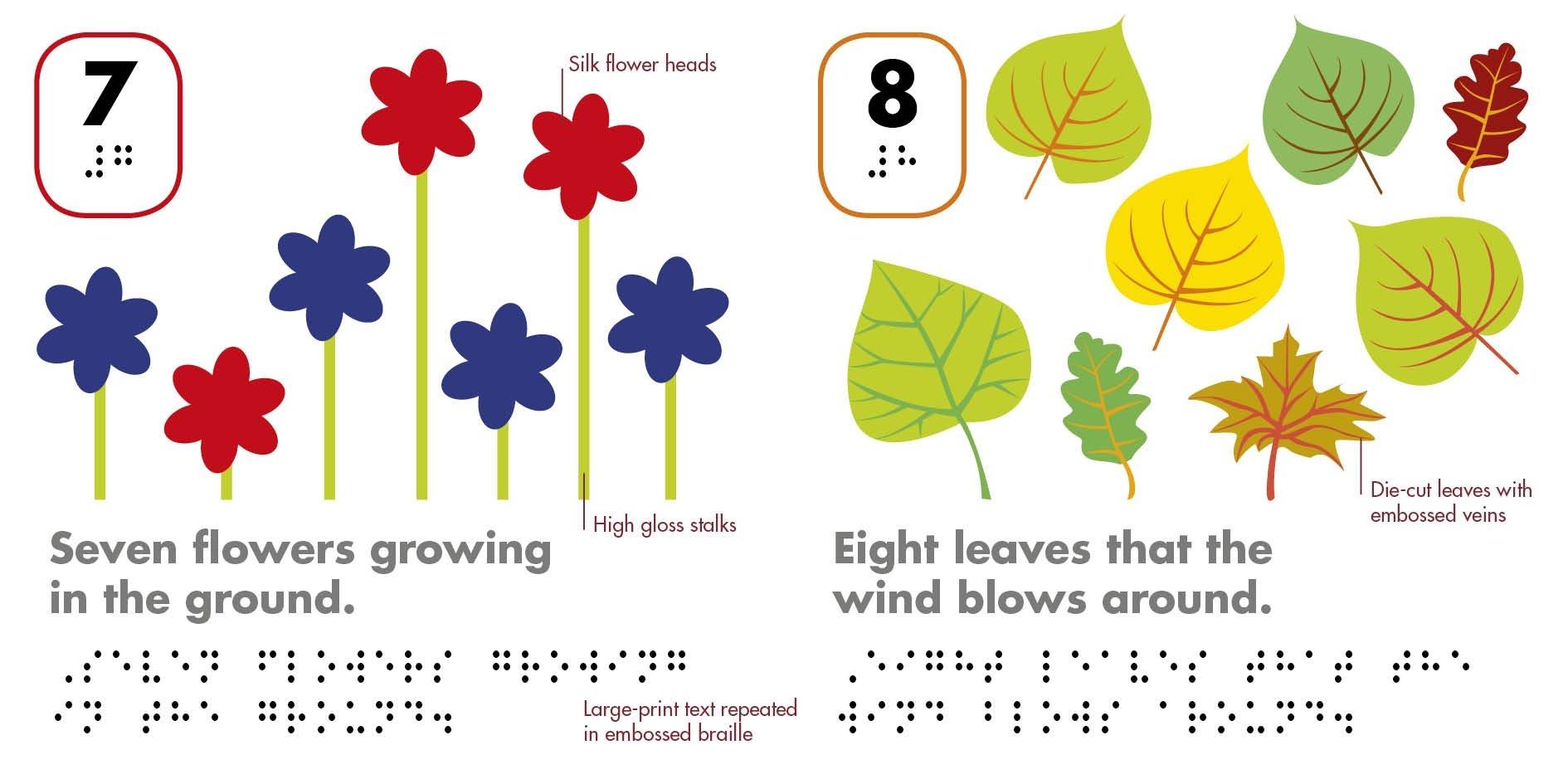 DK Braille Counting