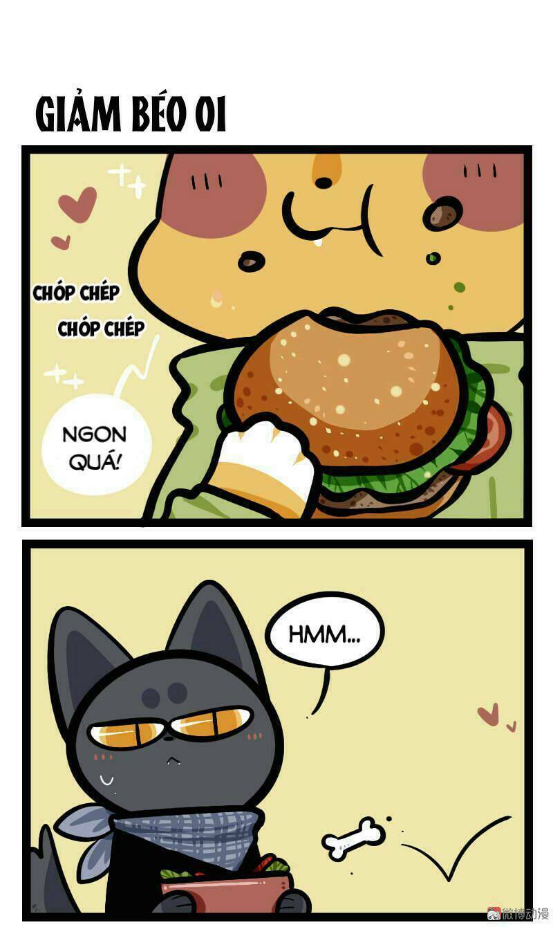 đời không như mình tưởng chapter 60 2