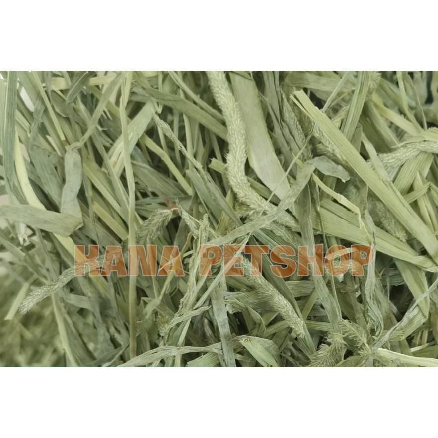 Cỏ Timothy 5KG Cỏ Timothy Siêu Tiết Kiệm Xanh Thơm Siêu Ngon Dành Cho Thỏ Và Bọ.