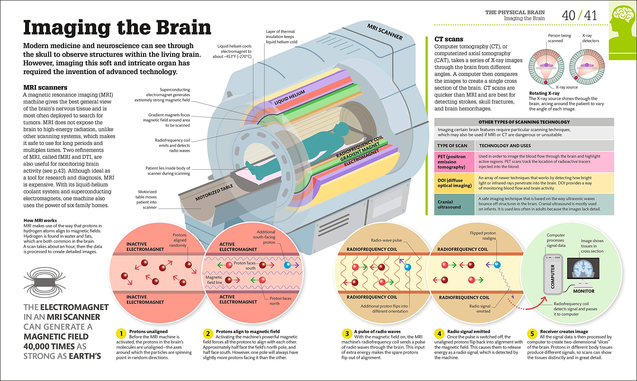 How The Brain Works: The Facts Visually Explained (How Things Work)