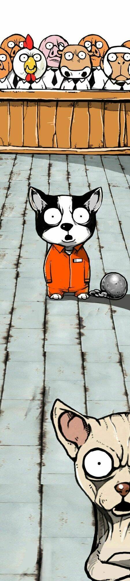 earth, human, and animal chapter 22 30