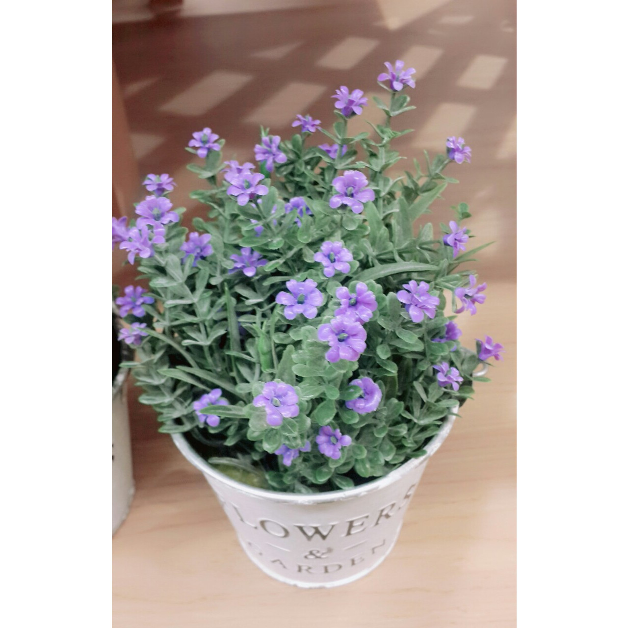 Một chậu thiếc hoa cỏ để bàn trang trí Flower &amp; Garden 11*11*22