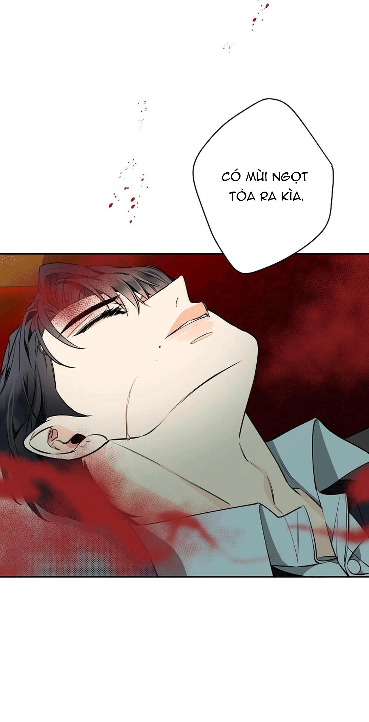 đêm dịu dàng chapter 36 35