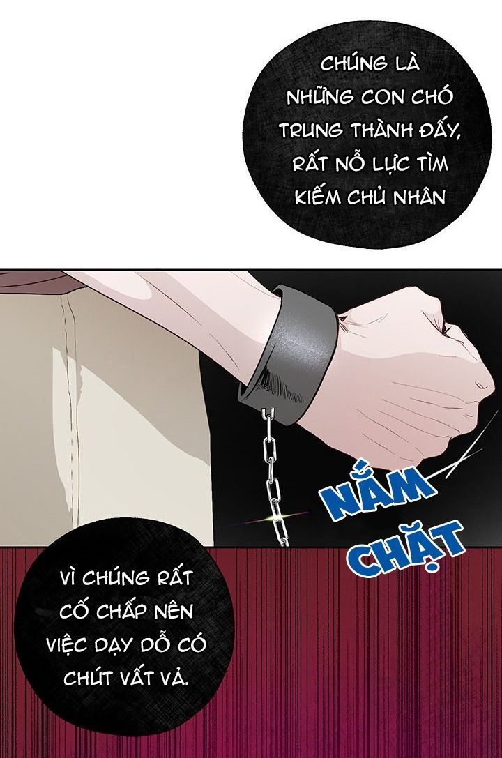 cách để cứu rỗi anh trai của nữ chính chapter 21 3