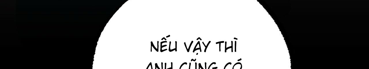 những chú thỏ của hapypy chapter 56 314