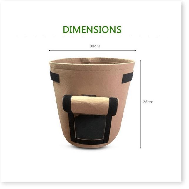 TRỒNG TÚI XANH Chậu trồng cây, củ giống môi trường 30x35cm