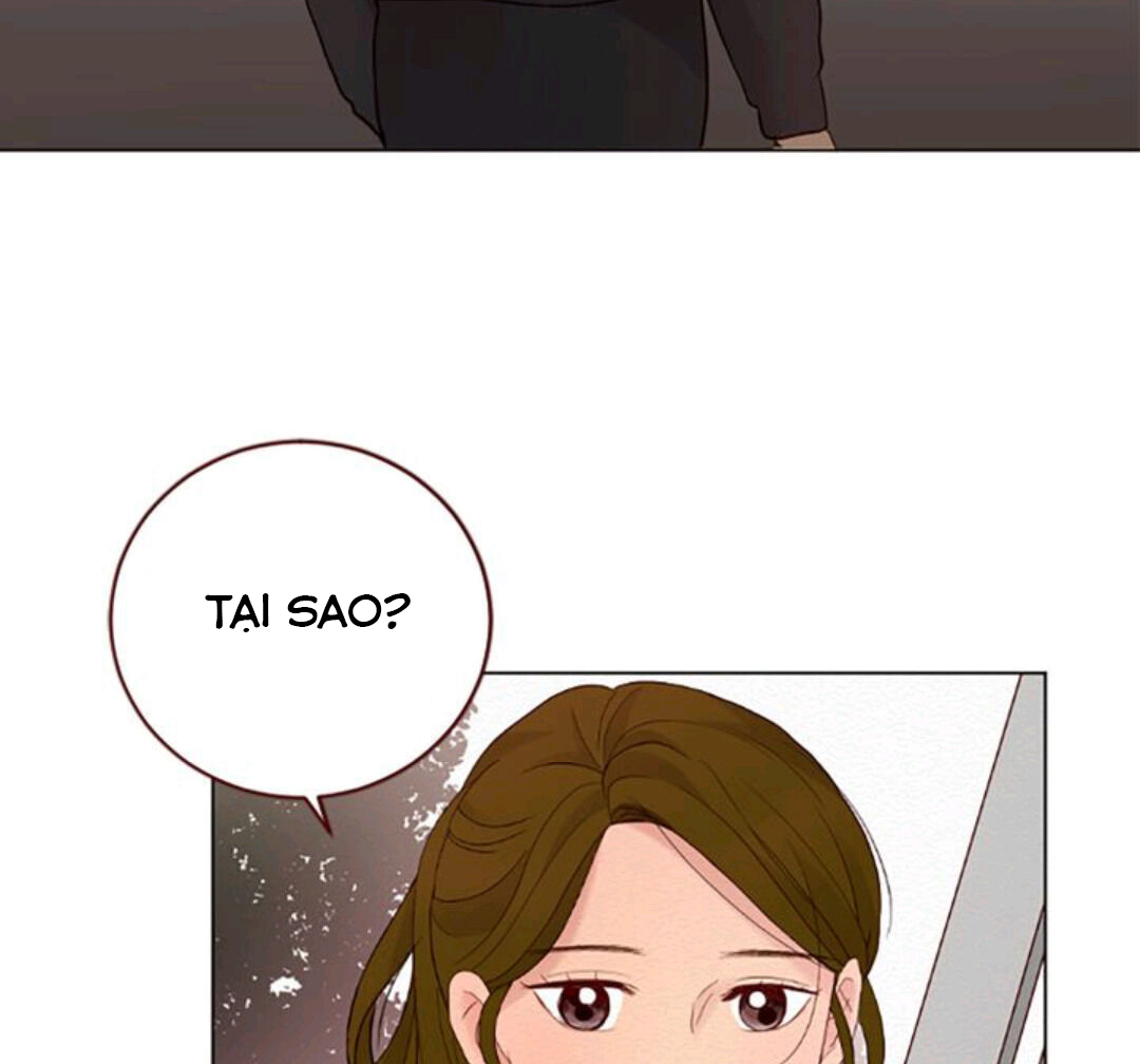thầm yêu chapter 6 113