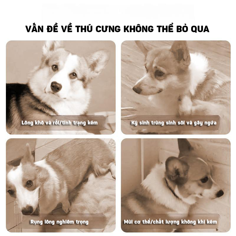 Sữa Tắm Chăm Sóc Lông, Thơm Mát Khử Mùi Hôi, Diệt Khuẩn, Diệt Bọ Dành Cho Chó Mèo, Thú Cưng, Vật Nuôi Trong Nhà 350ml - Hàng Nhập Khẩu