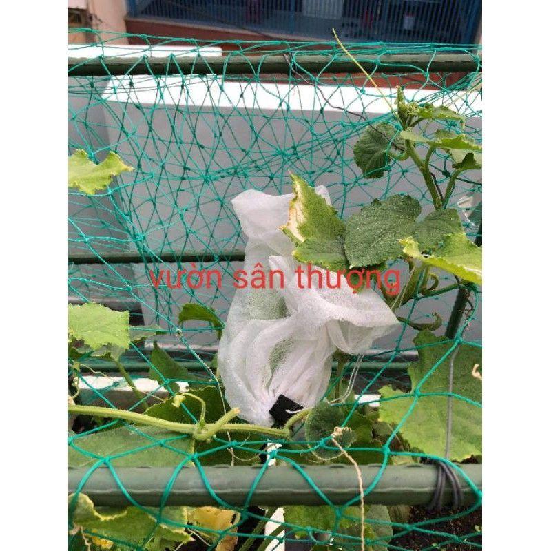 Lưới giàn leo 6F