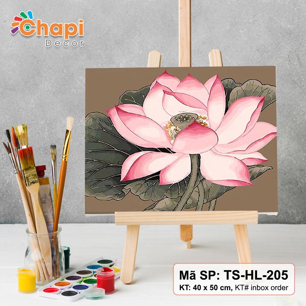 Tranh tô màu số hóa Chapi Hoa Sen KT 40x50 cm đã căng khung, Có dầu bóng