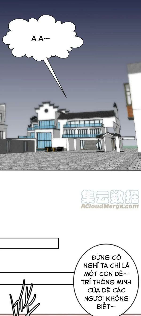 ta chẳng qua là một đại la kim tiên chapter 53 11