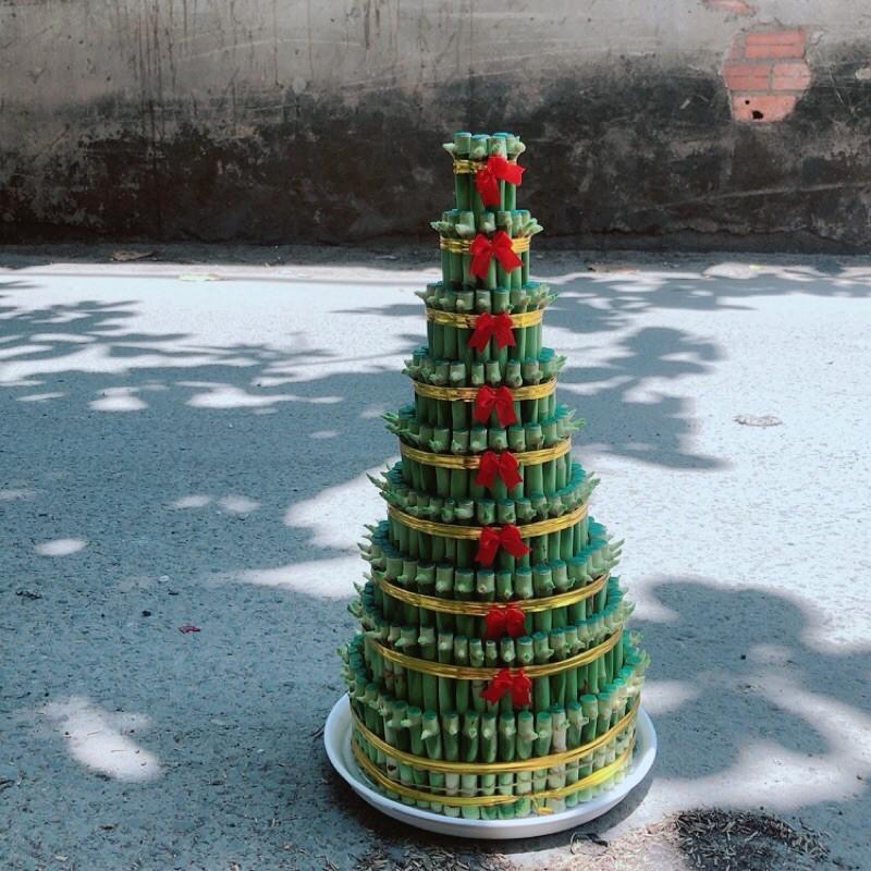 Trúc Phát Tài 9 Thân Kèm Dĩa