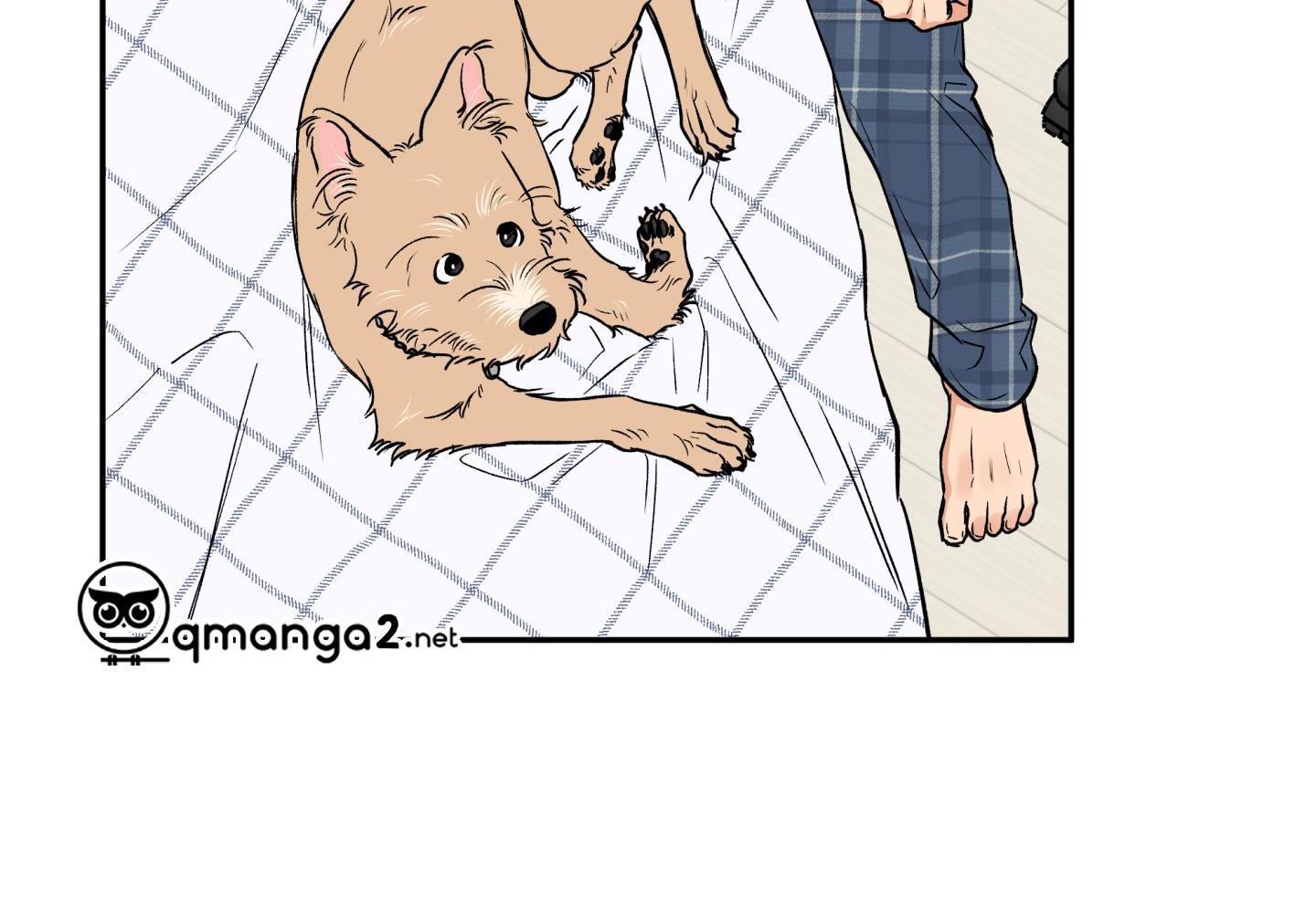 gâu gâu! chapter 49 61