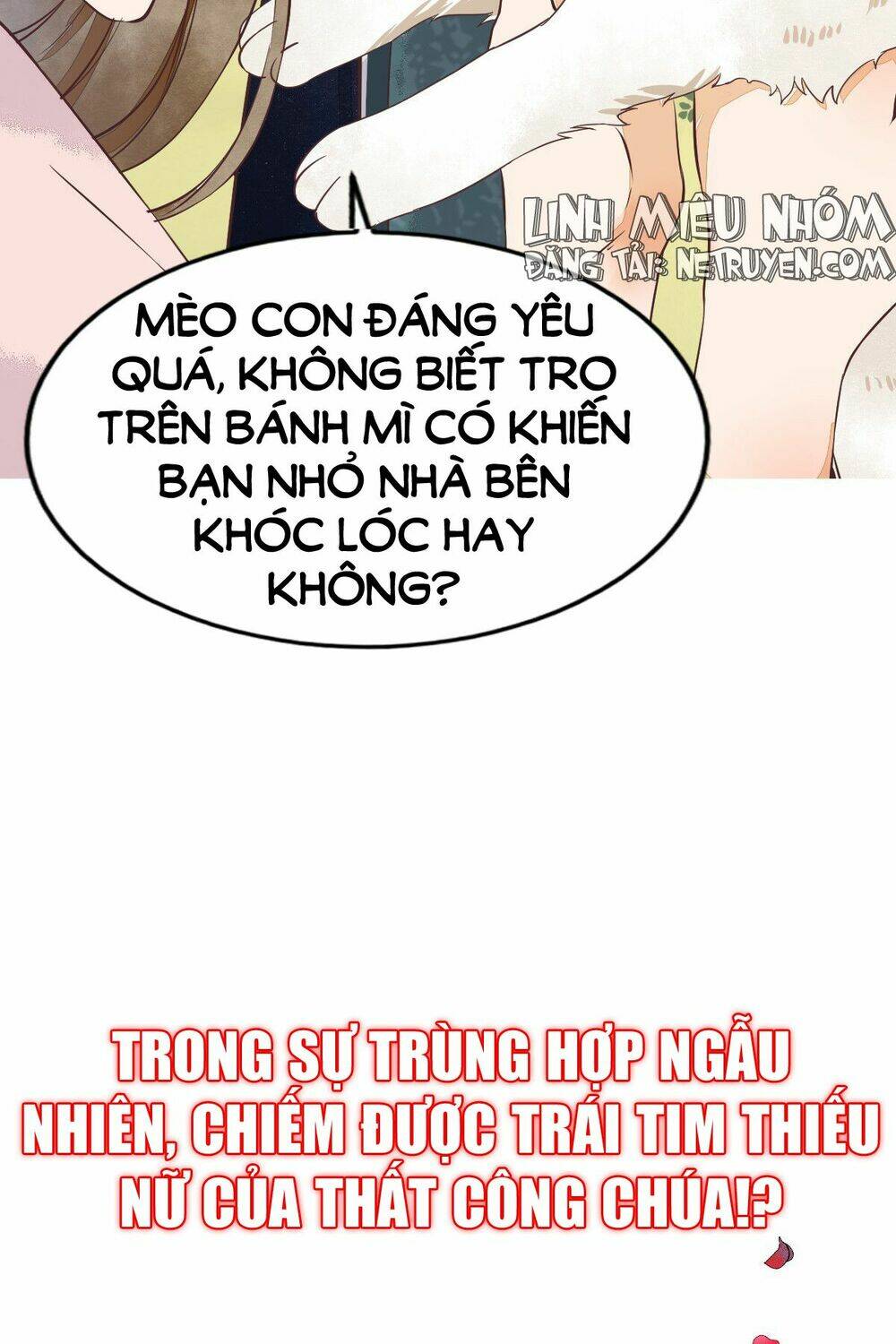 sát thủ vương phi không dễ đối phó chapter 1 18