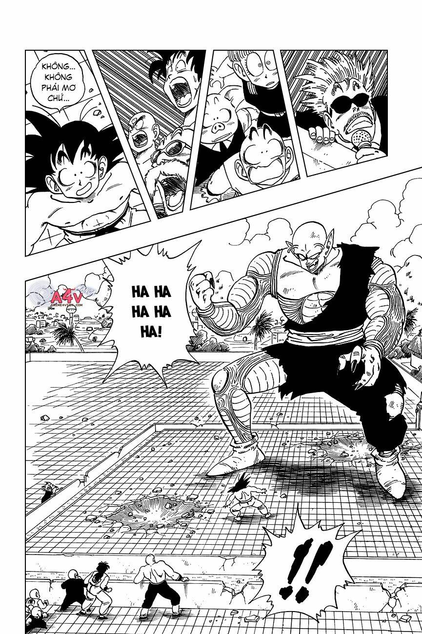 dragon ball - bảy viên ngọc rồng chapter 186 11