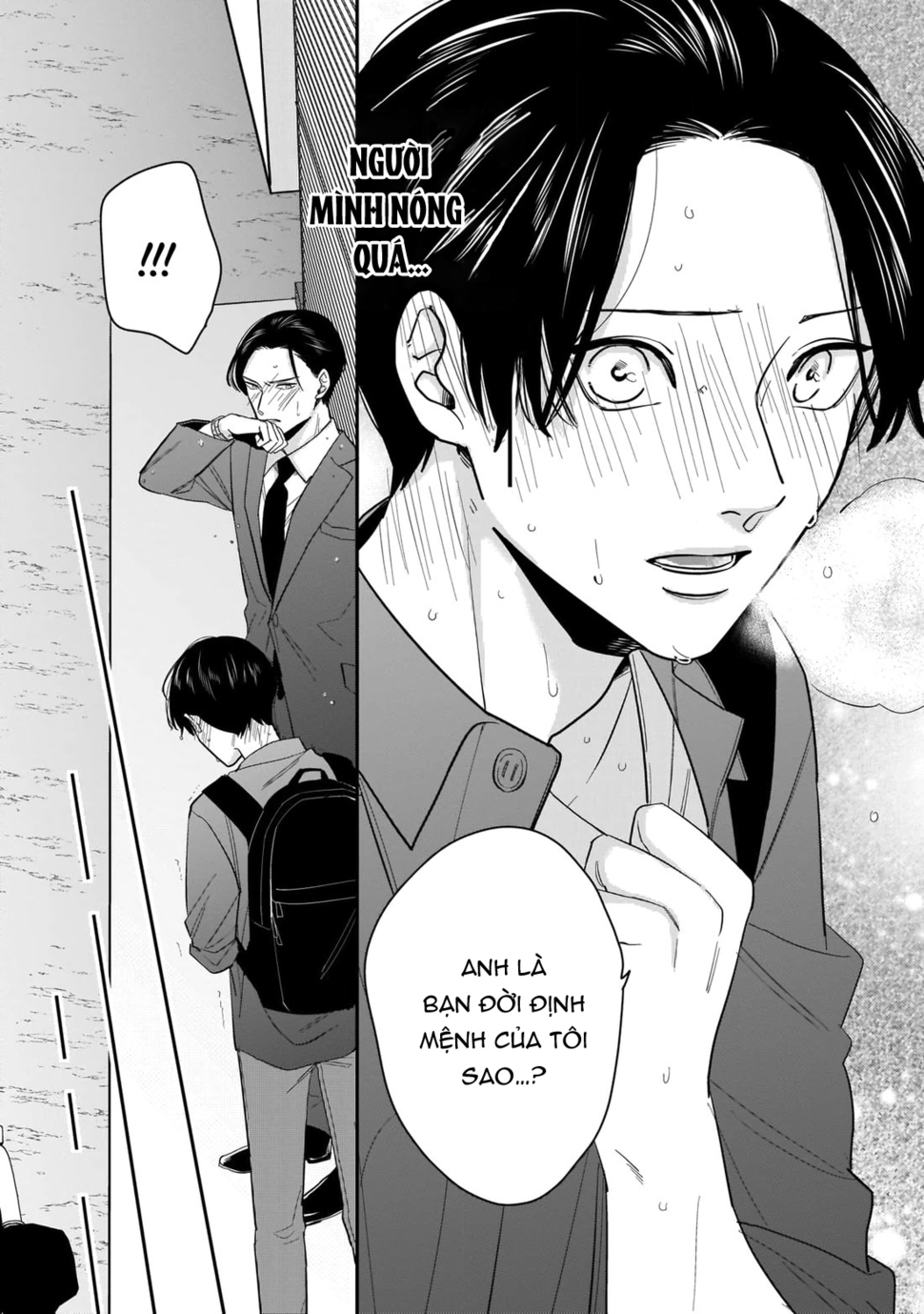 dù không là định mệnh chapter 1 12