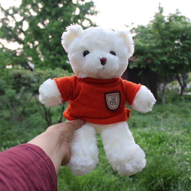 Gấu bông Teddy bear áo len dễ thương