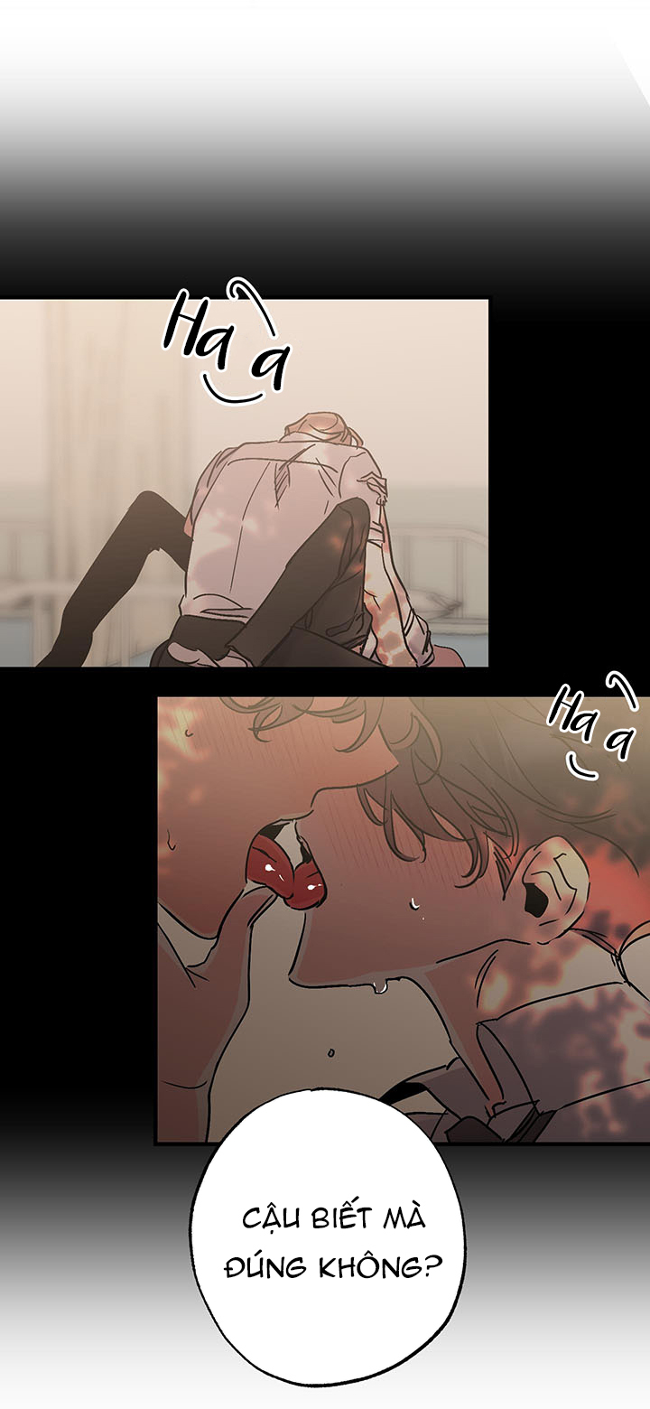 vì sao sa vào vũ trụ chapter 2 26