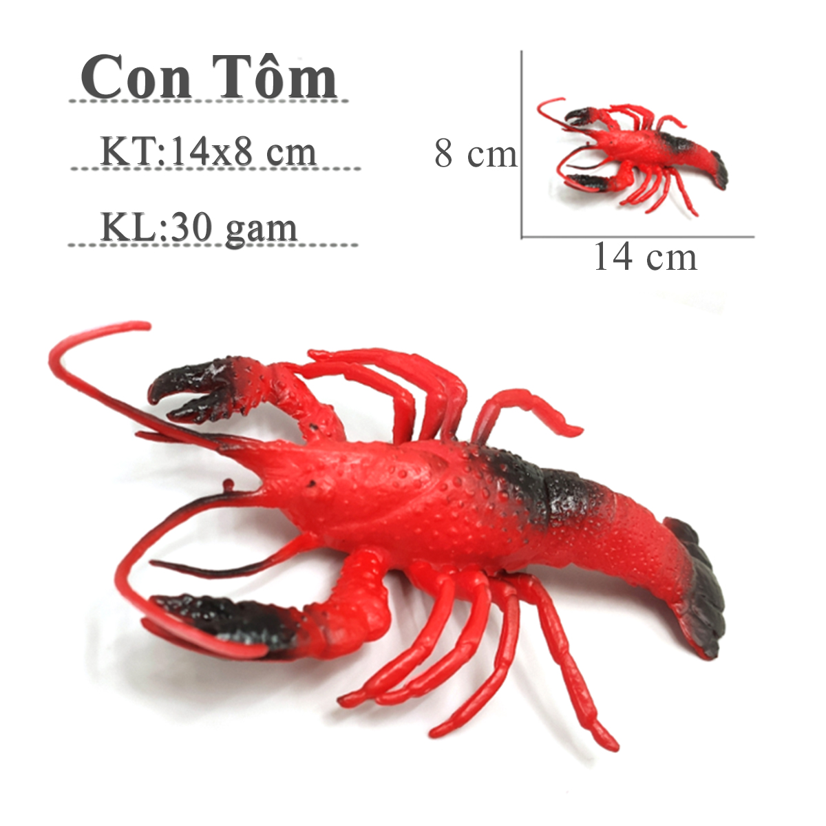 Mô hình đồ chơi sinh vật biển - Con Tôm đỏ 16x10 cm New4all Shrimp CT1814 Sea Animal