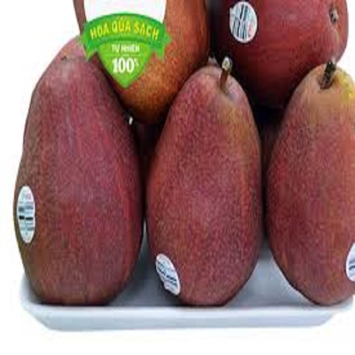 CÂY GIỐNG LÊ ĐỎ NAM PHI SIÊU QUẢ SIÊU KINH TẾ-CAM KẾT GIỐNG CHUẨN F1