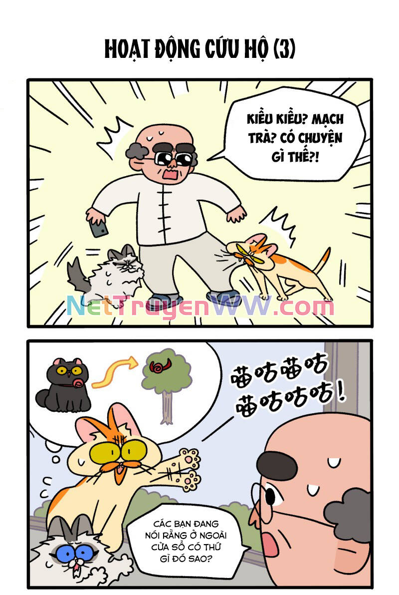 a mãn và mạch trà chapter 44 5