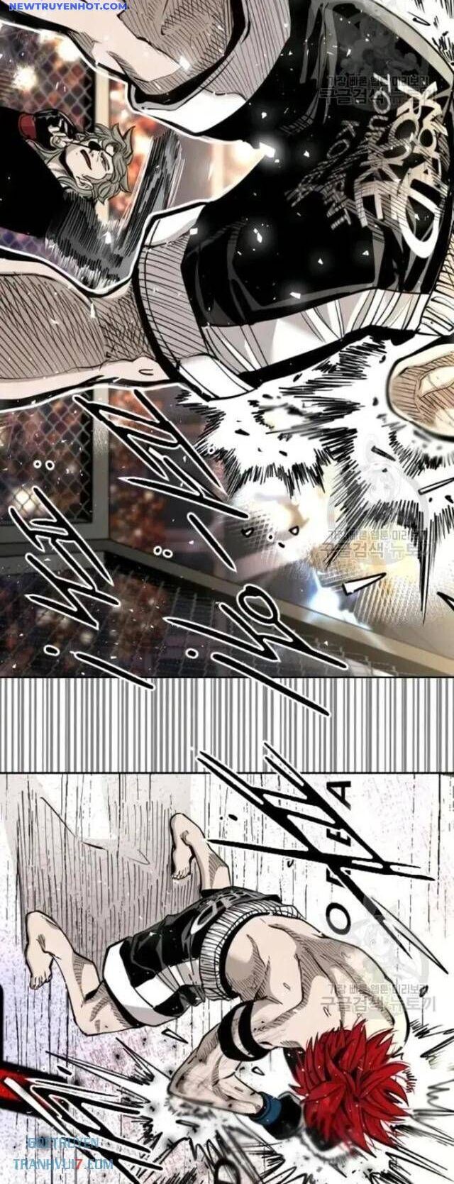 shark - cá mập chapter 204 39