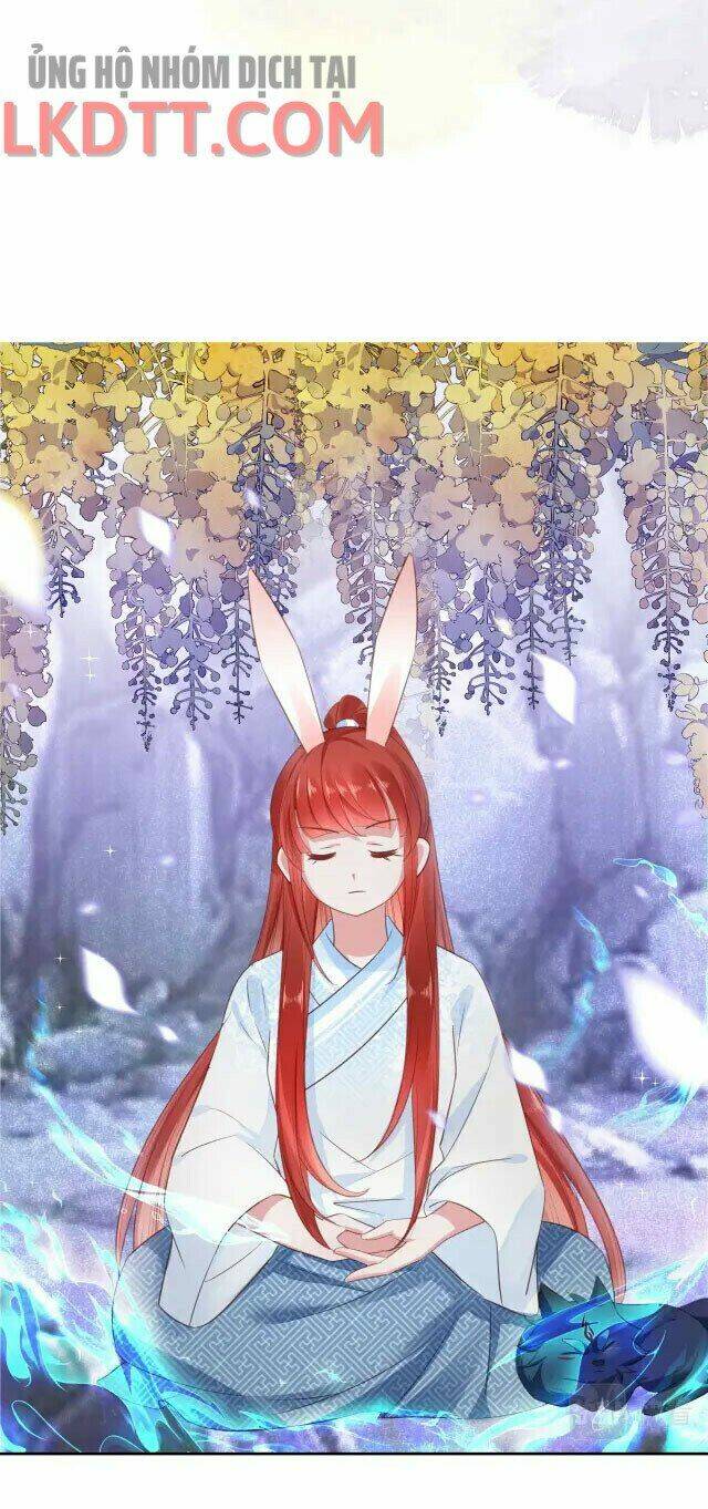 hắc hóa nam chính trực tuyến nuôi thỏ chapter 23 19