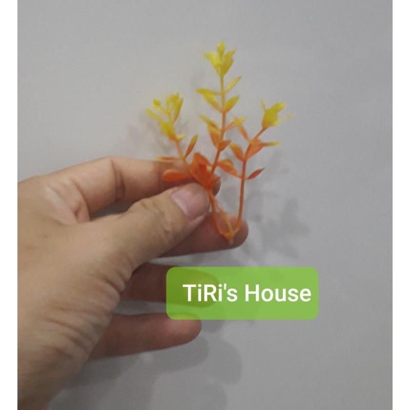 100gr Cỏ điểm ký trộn mẫu hoặc 1 mẫu