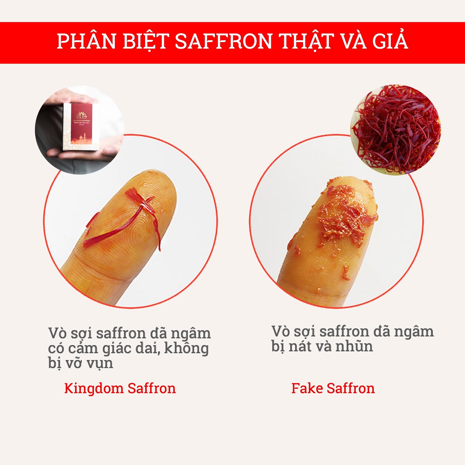 Combo 10 hộp saffron Kingdom Herb, nhụy hoa nghệ tây Iran chính hãng super negin thượng hạng - Tặng 1 hộp saffron mật ong thượng hạng 40g và 1 bình nước thủy tinh cao cấp 500 ml