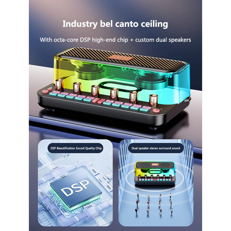 Loa bluetooth gợi cảm thiết bị phát sóng trực tiếp điện thoại di động máy tính trong nhà và ngoài trời Bluetooth ghi âm karaoke speake Màu sắc: card âm thanh đơn sắc