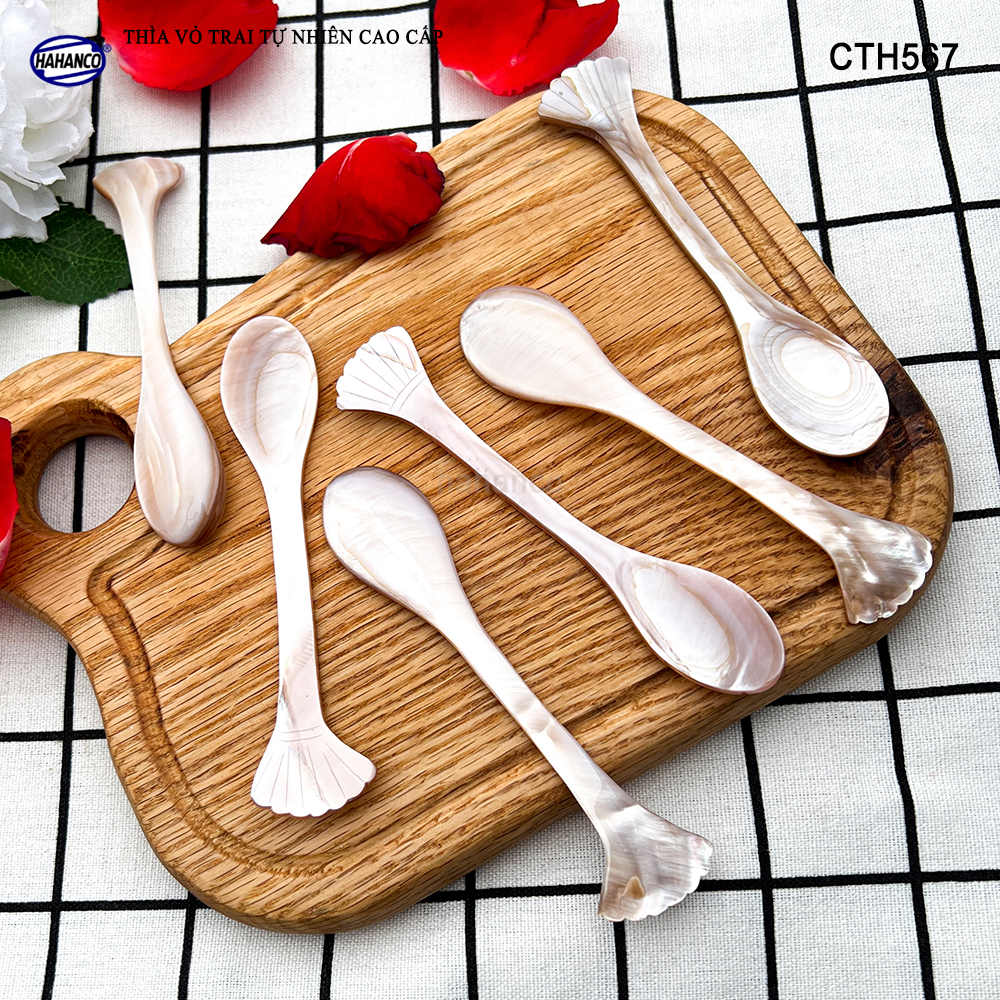Muỗng Cà Phê Gia Vị Bằng Xà Cừ Tiêu Chuẩn Xuất Khẩu - HAHANCO - CTH567