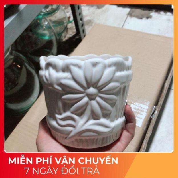 Chậu Trồng Cây