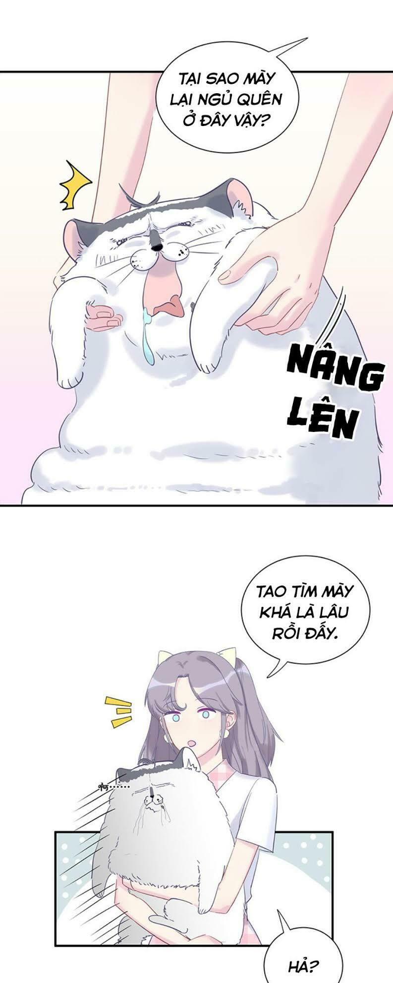 ứng cử viên hôn phu của ta chapter 1 17