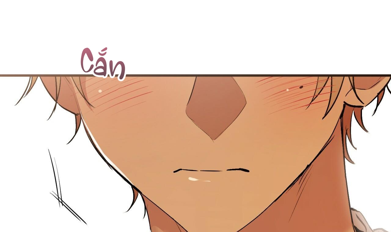 đàn thỏ của habibi chapter 42 206