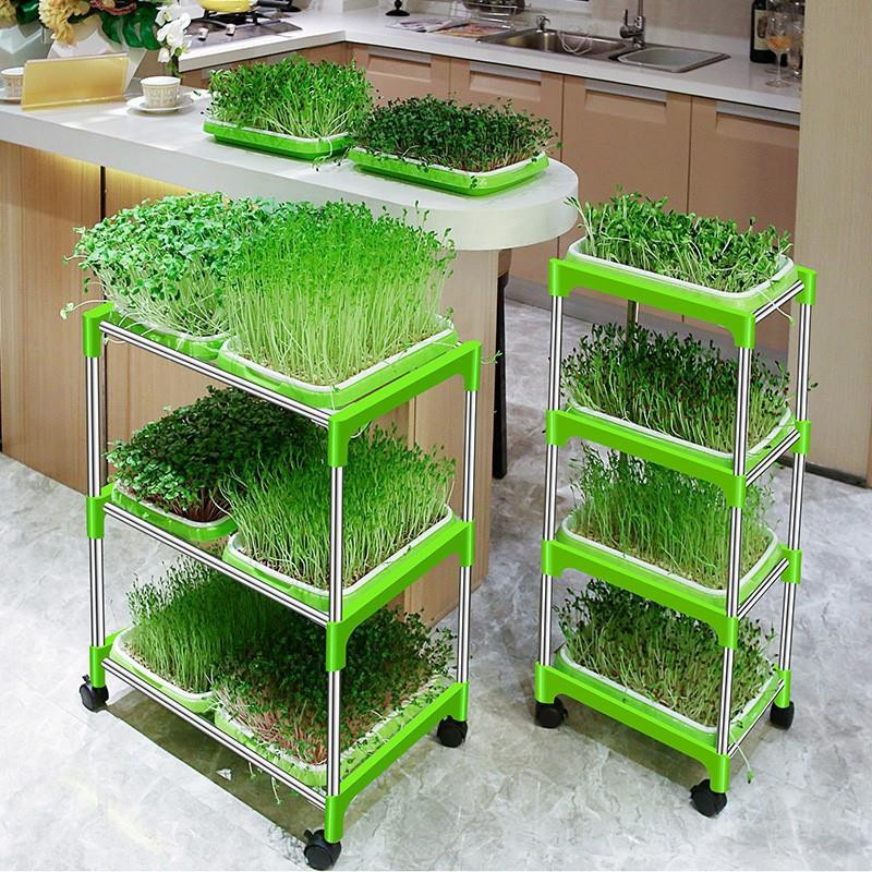 Bộ Khung/kệ trồng rau mầm - loại 6 khay 3 tầng có bánh xe - dễ lắp ghép tại nhà