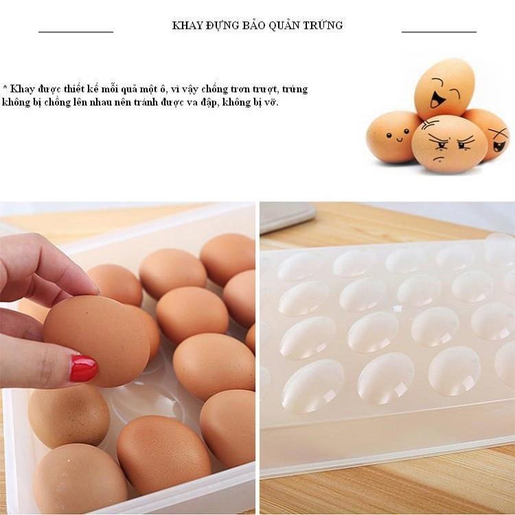 KHAY ĐỰNG TRỨNG TRONG SUỐT QUAN SÁT ĐƯỢC BÊN TRONG 24 QUẢ CÓ NẮP ĐẬY HÀNG NHỰA VIỆT NHẬT