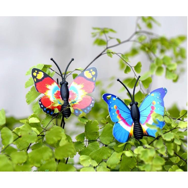 Combo 02 mô hình bướm màu sắc rực rỡ chuyên dụng trang trí bonsai, tiểu cảnh