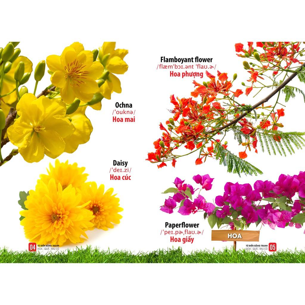Sách - Trọn Bộ Từ Điển Bằng Tranh - Song Ngữ Anh Việt - 6 Quyển