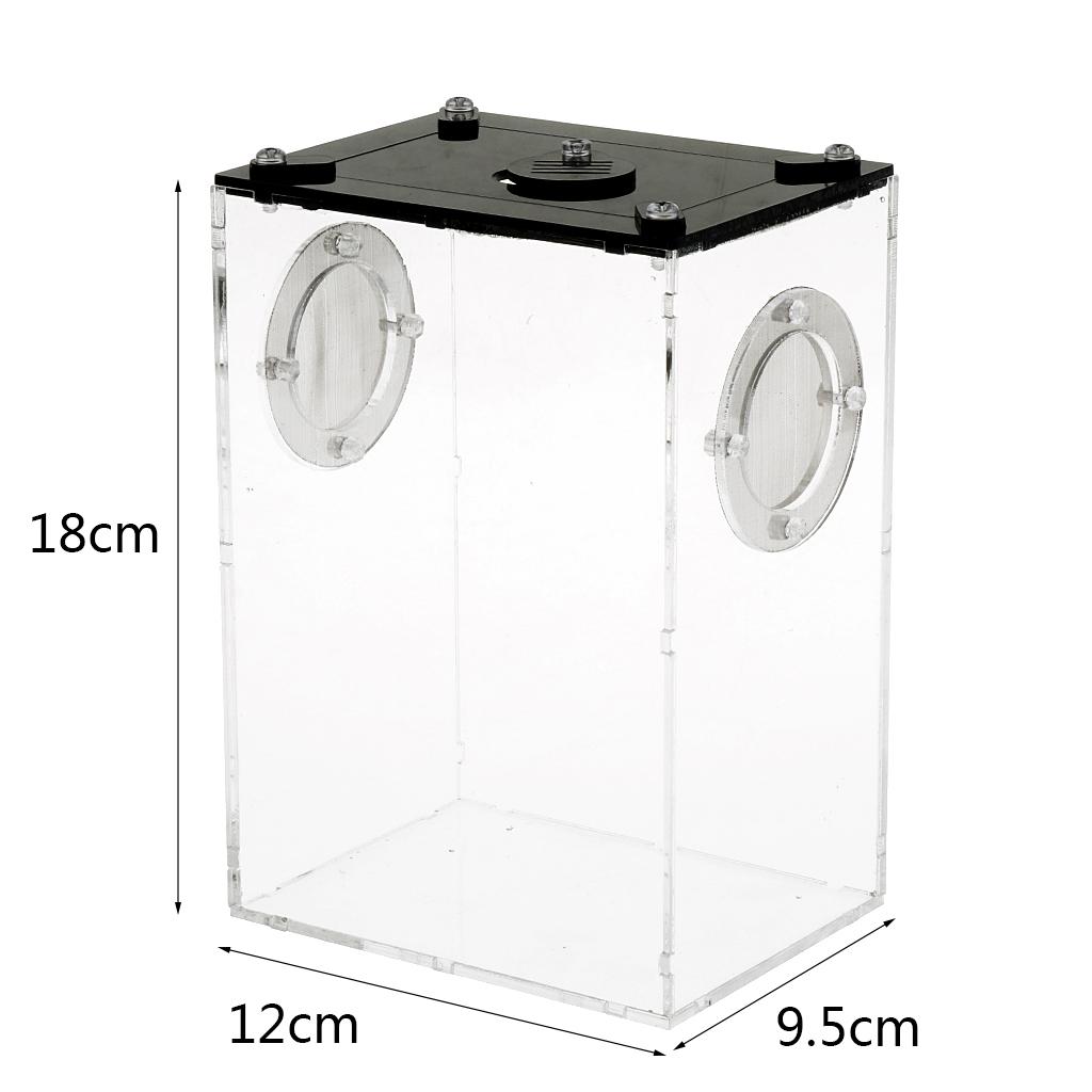 Reptiles Feeding Container Snake Insect Frog Breeding Tank Box Case