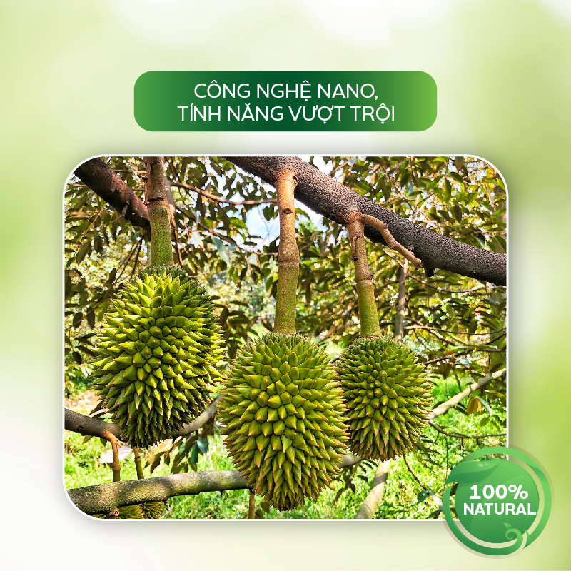 Nano Bạc diệt khuẩn sát khuẩn diệt nấm, rửa vườn, tẩy sạch rong rêu, kháng virus – Nano Bạc AT đậm đặc 500ml