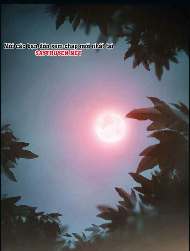 thước phim sự thật chapter 4 3