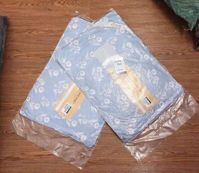 Đôi ruột gối Thương Hiệu