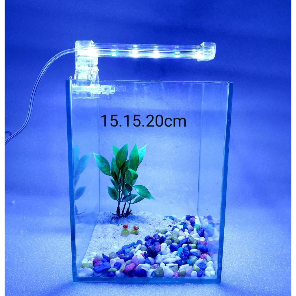 Bể cá mini - bể cá mini để bàn cao20cm - BCC20c