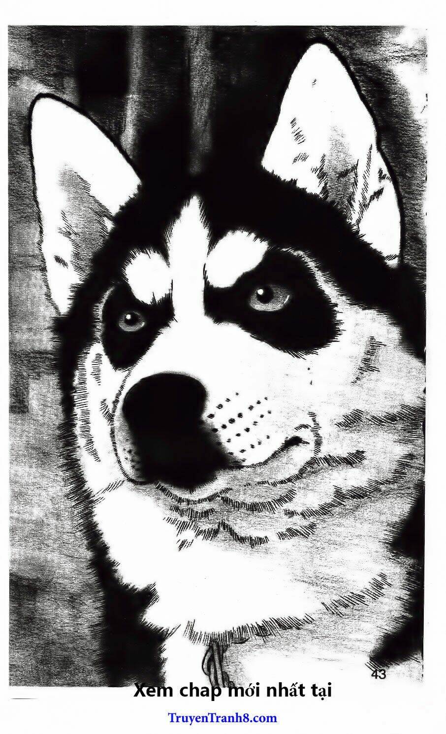 bác sĩ thú y chapter 93 4