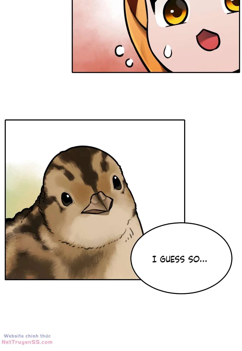 sự lụi tàn của usuzumi chapter 67 28