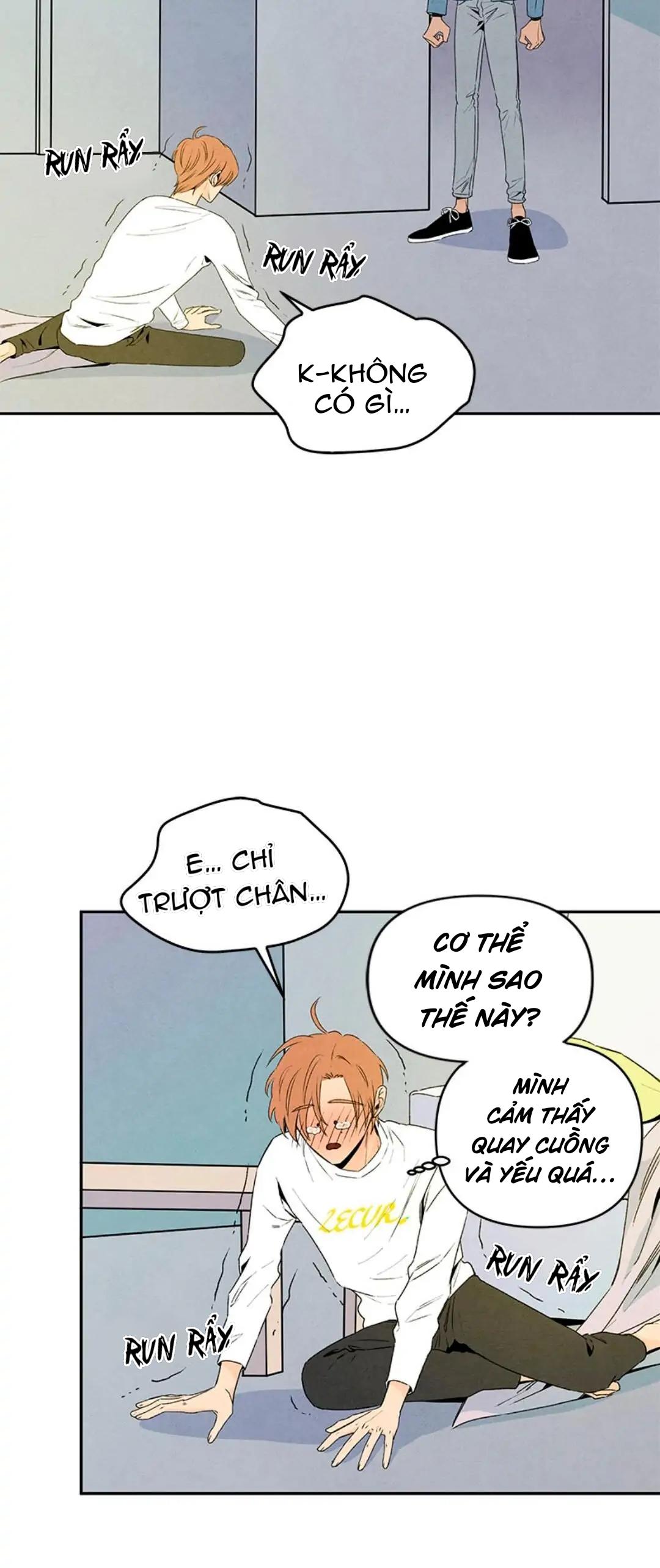 bona sort chapter 32 13