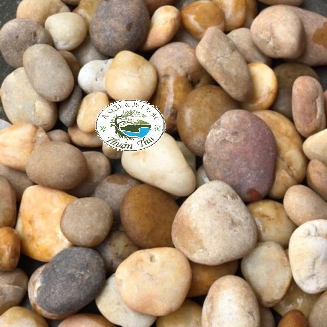 1Kg sỏi cuội - Đá cuội tự nhiên trang trí hồ cá - sân vườn