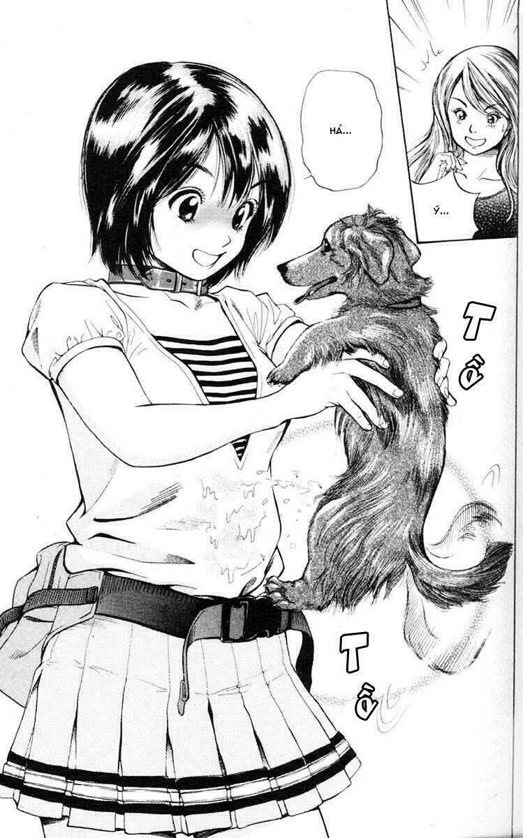 cô nàng yêu chó chapter 1 5